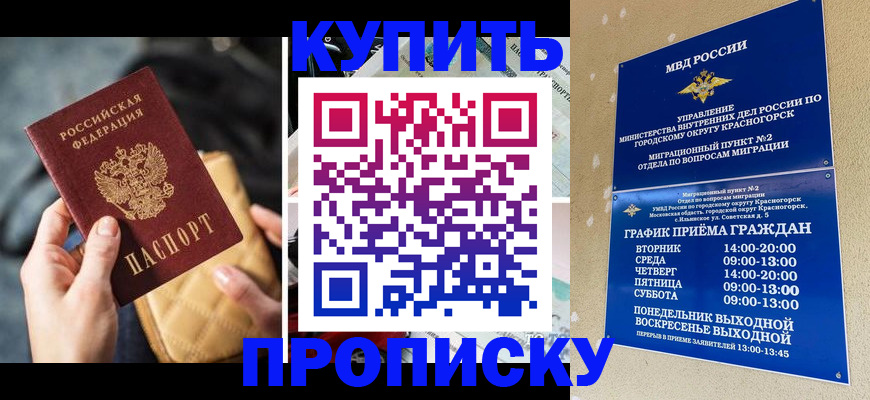 прописка законно в Великом Новгороде
